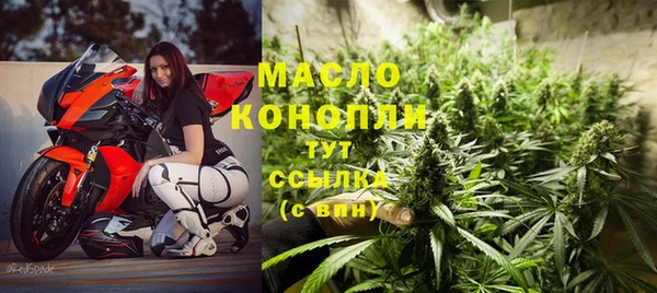 индика Новокубанск